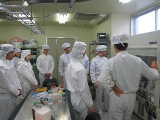 lab